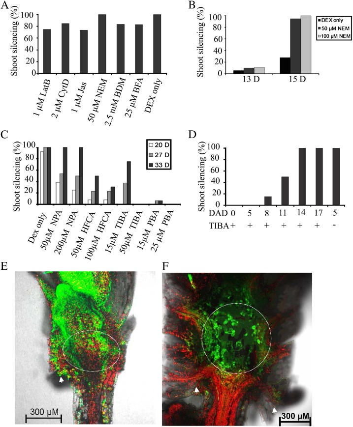 Figure 10.