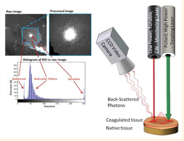 graphic file with name nihms-1593293-f0001.jpg