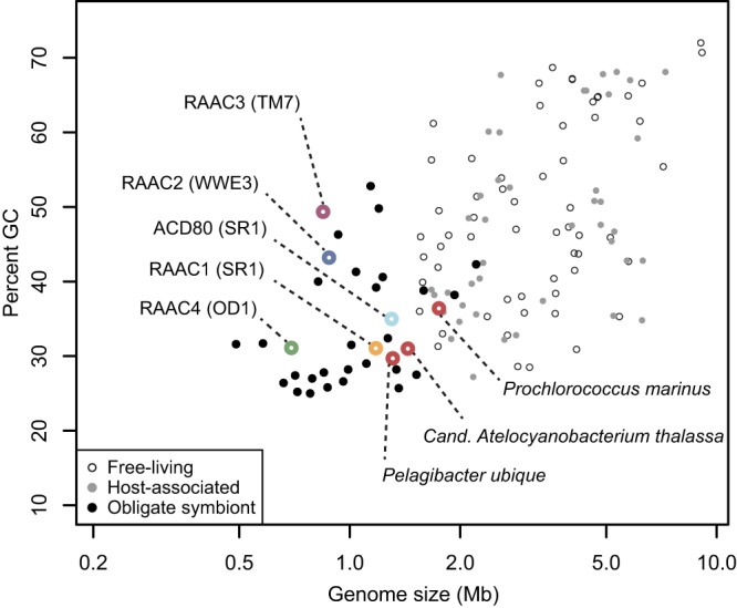 FIG 2 