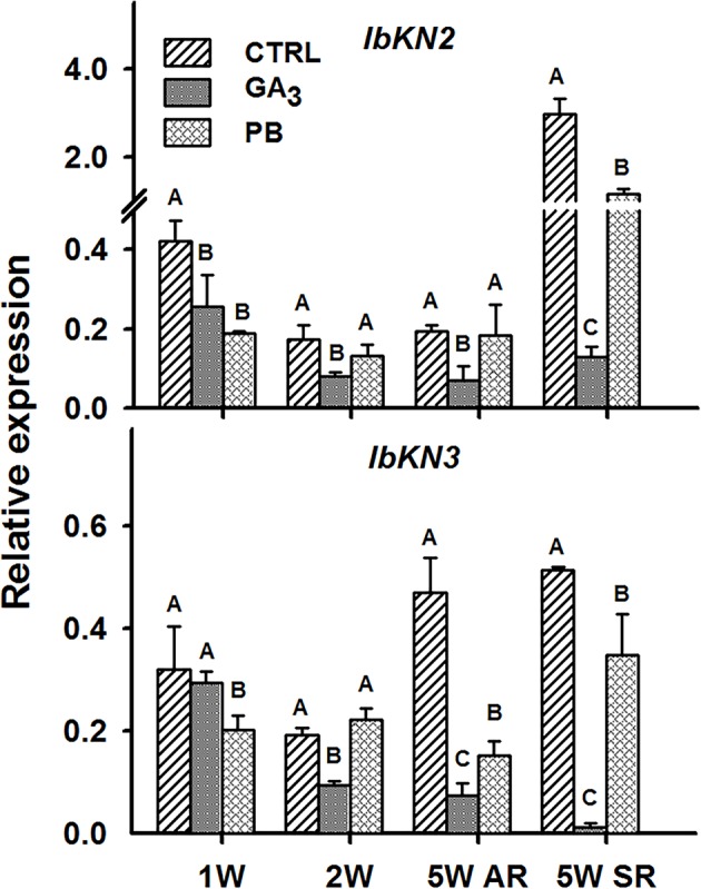 Figure 11