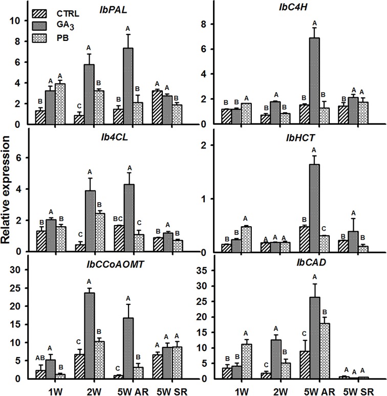 Figure 10