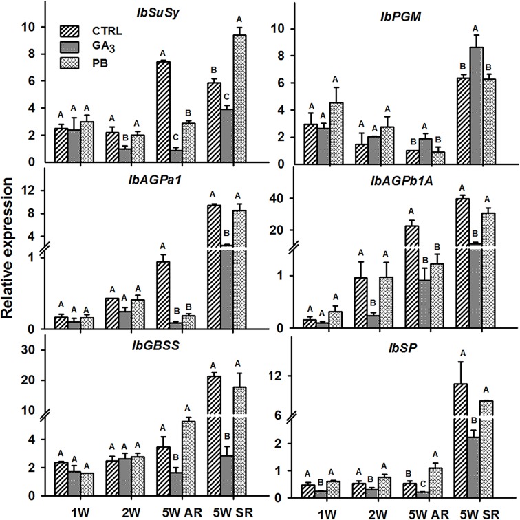 Figure 12