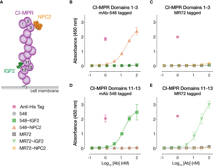 Figure 4