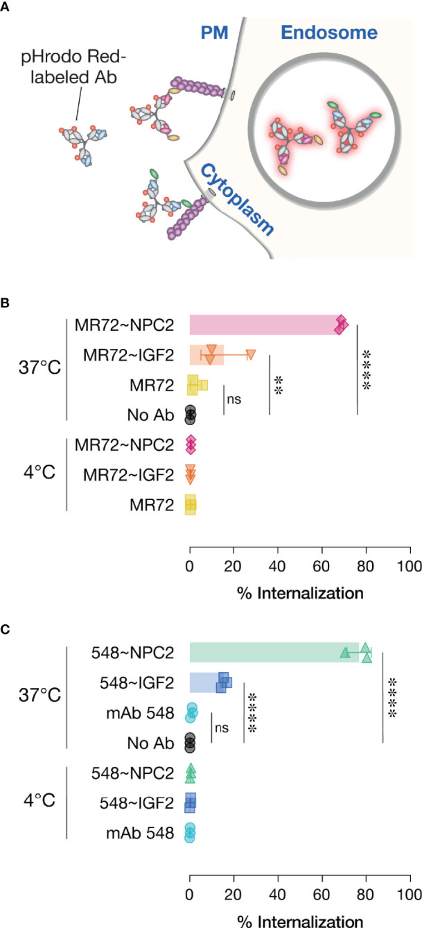 Figure 6