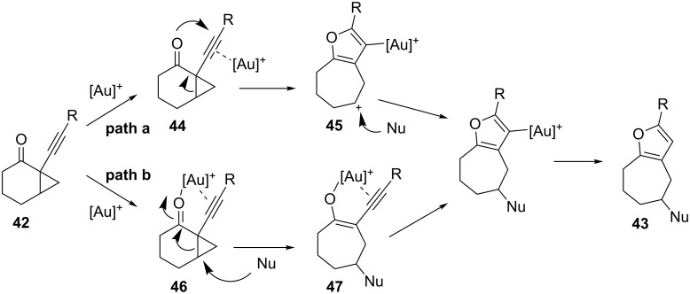 Scheme 14