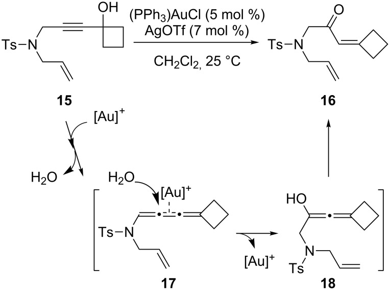 Scheme 5