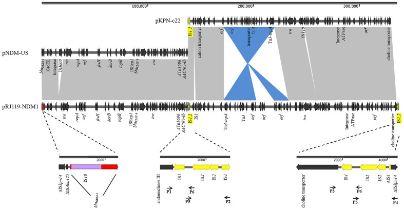 FIGURE 3