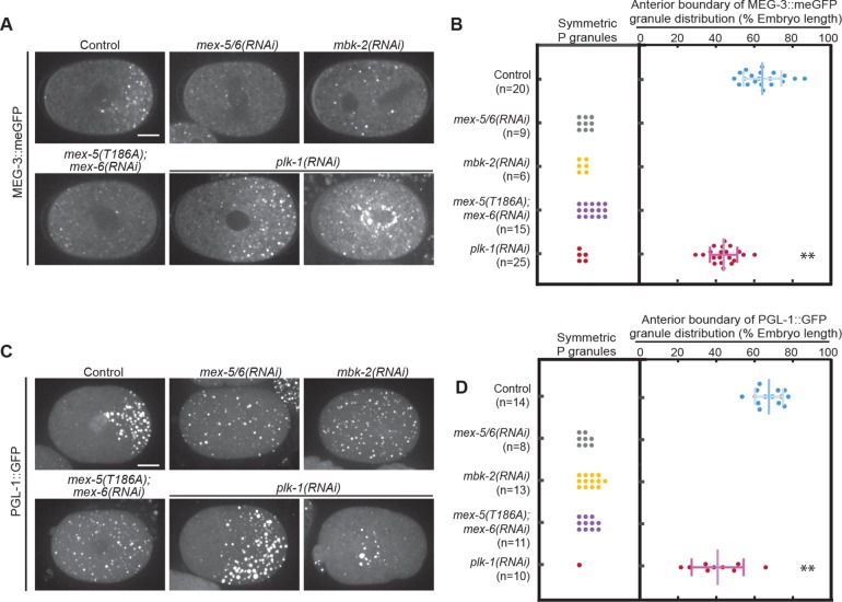 FIGURE 6: