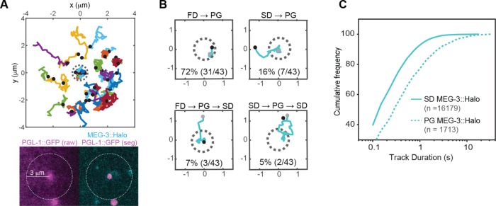 FIGURE 5: