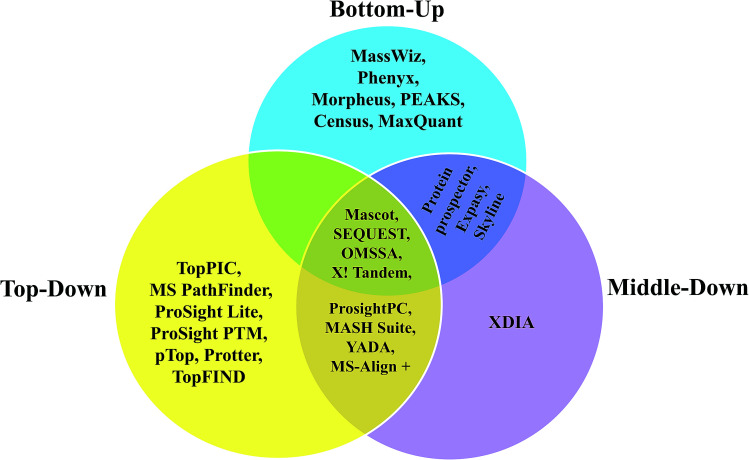 Scheme 5