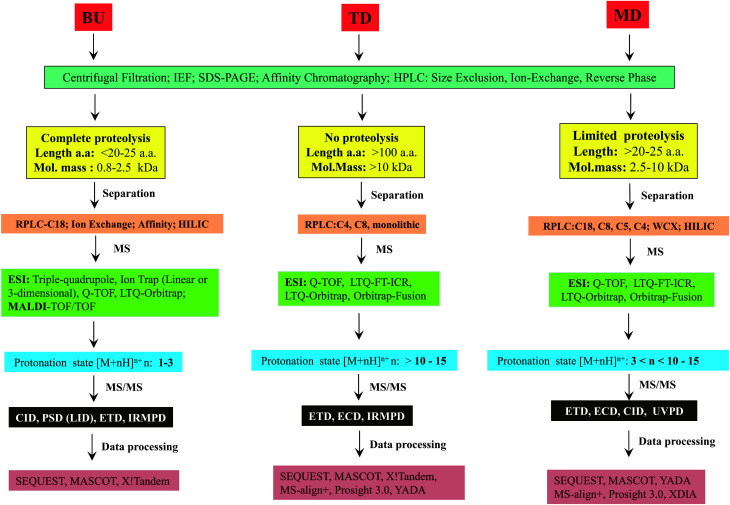 Scheme 6