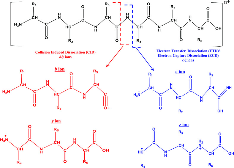 Scheme 4