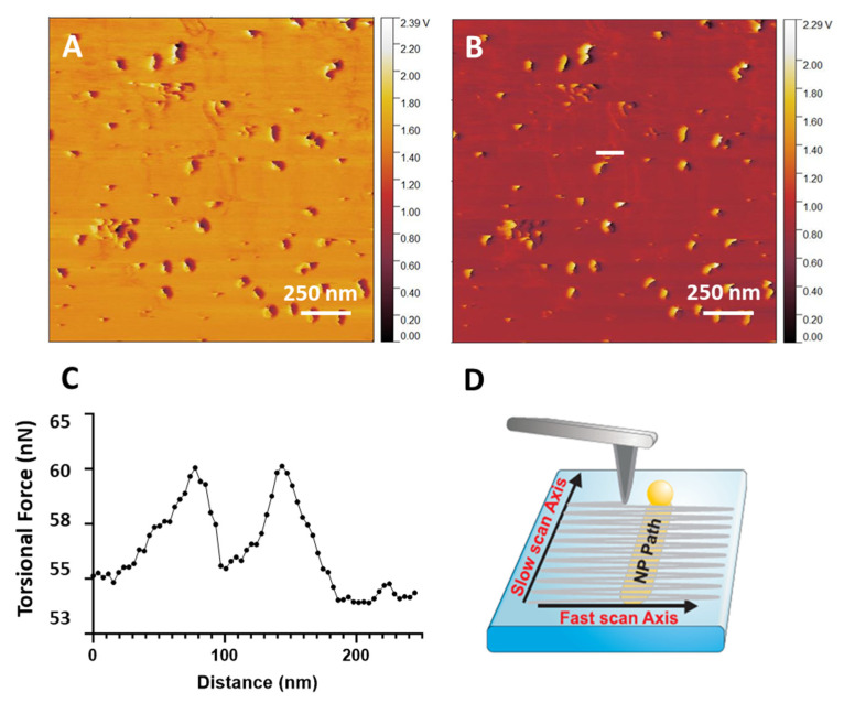 Figure 10