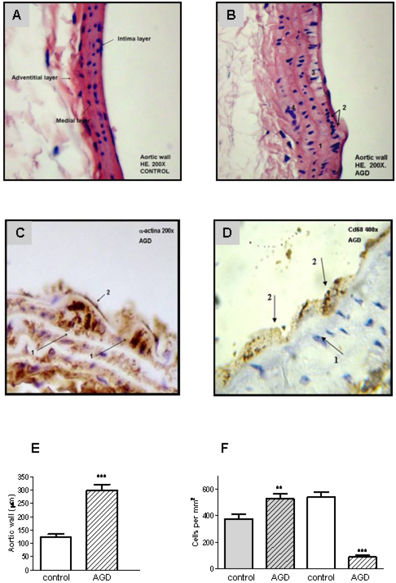 Fig. (2)