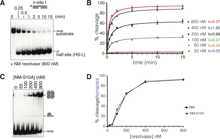 Figure 4.