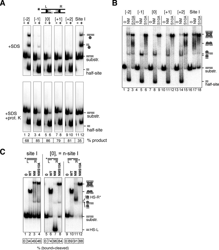 Figure 3.