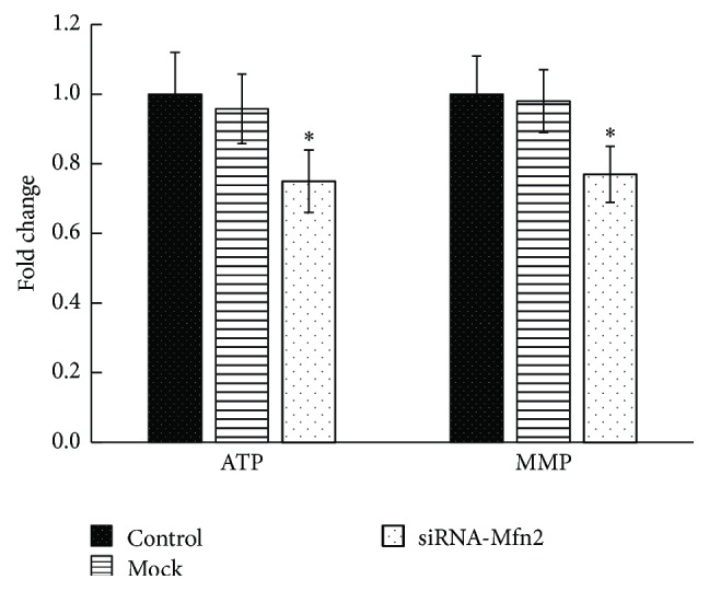 Figure 5