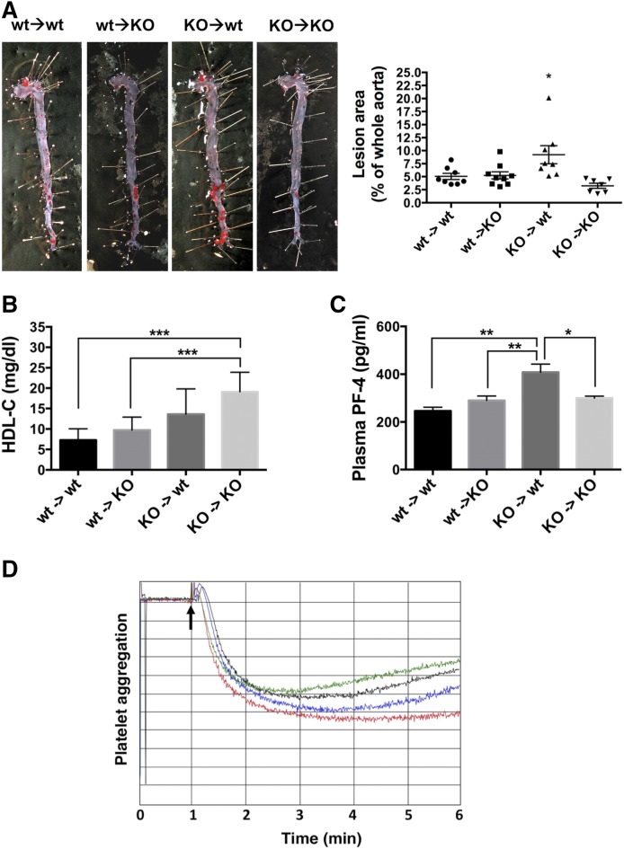 Fig. 8.