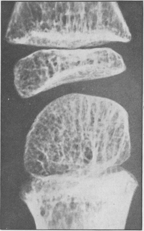 Fig. 10