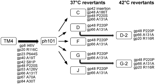 Figure 16