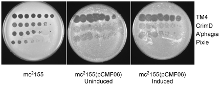 Figure 12