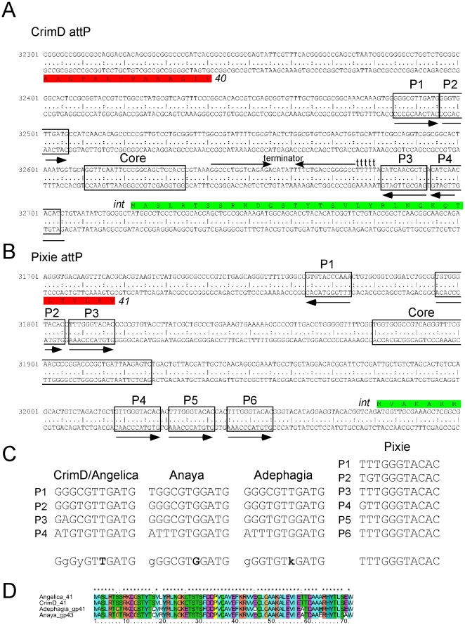 Figure 13