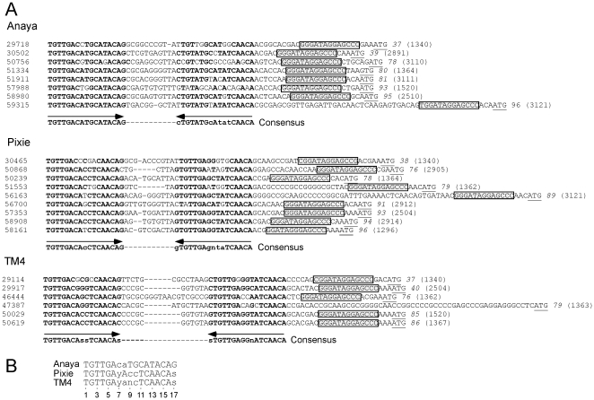 Figure 15