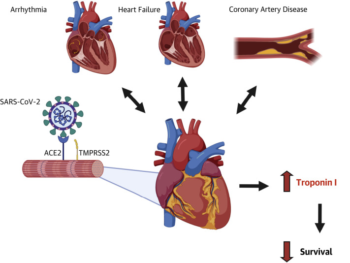 Figure 1