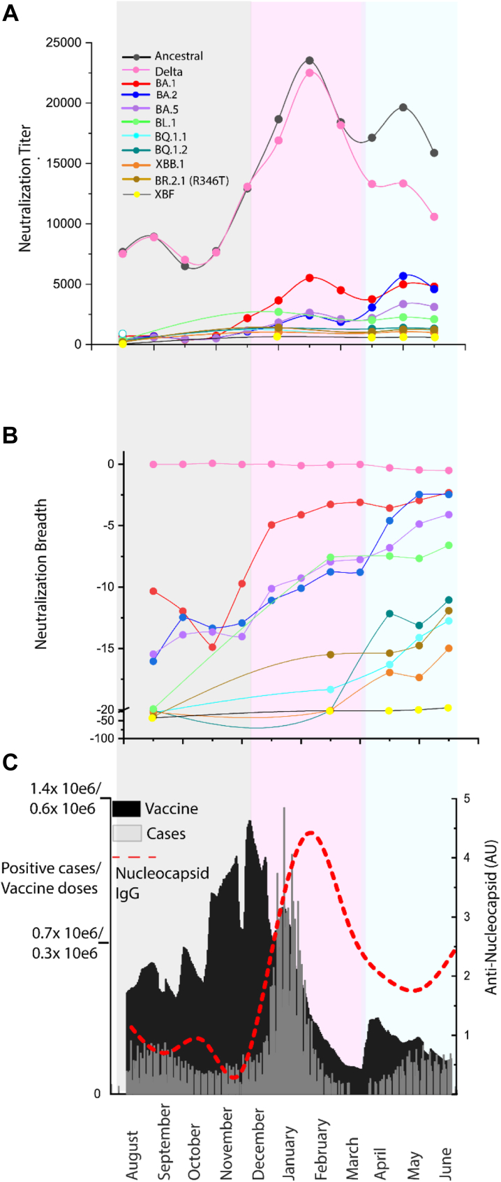 Fig. 2