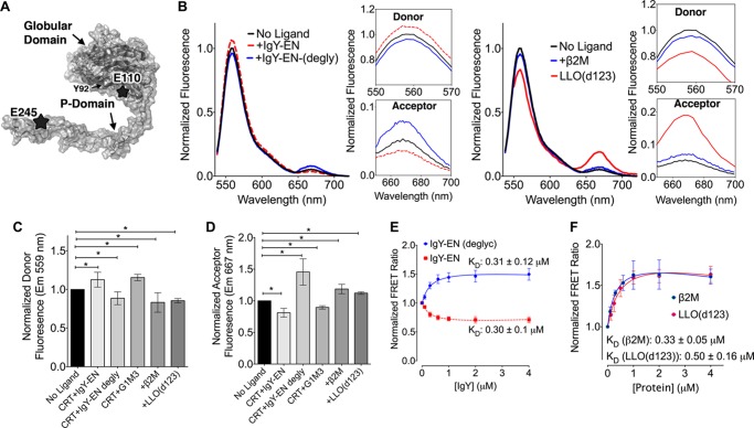 FIGURE 4.