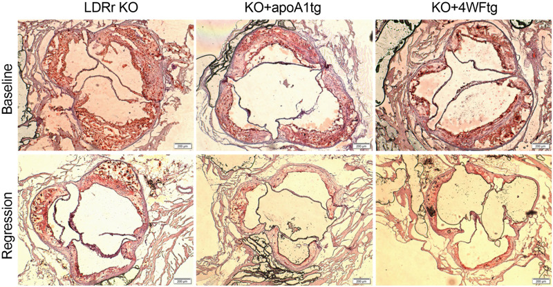 Fig 3