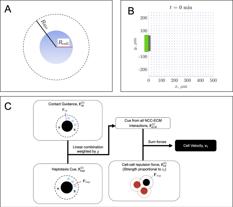 Figure 2—figure supplement 1.