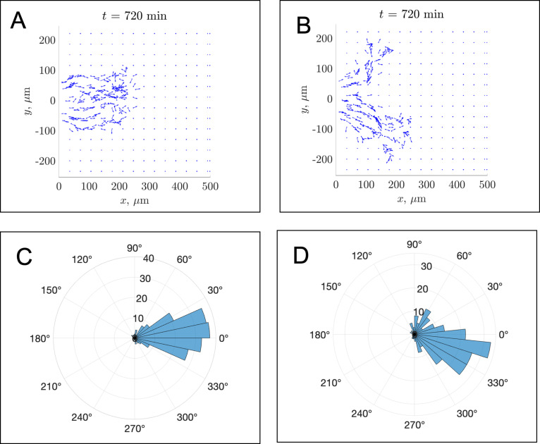 Figure 2—figure supplement 3.