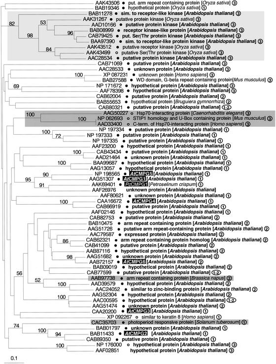 Fig 4.