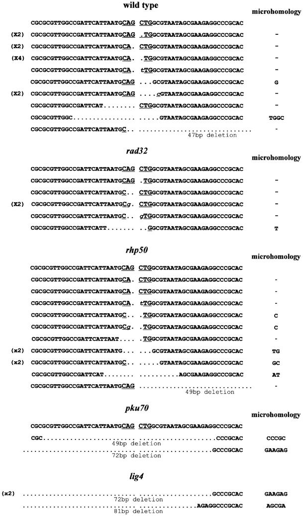 graphic file with name cde031f2.jpg