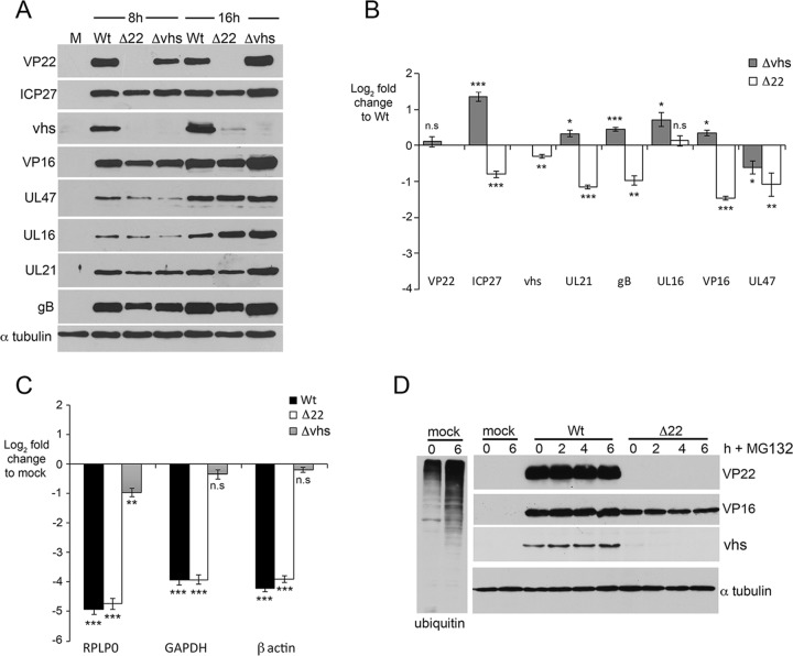 FIG 1