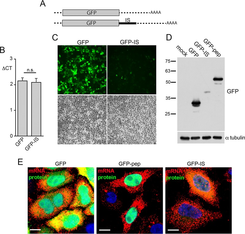 FIG 10