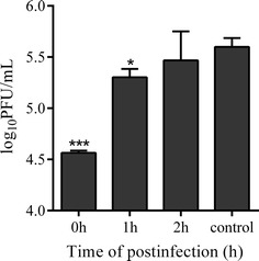 Fig. 4