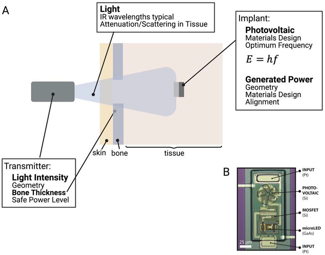 Figure 11.