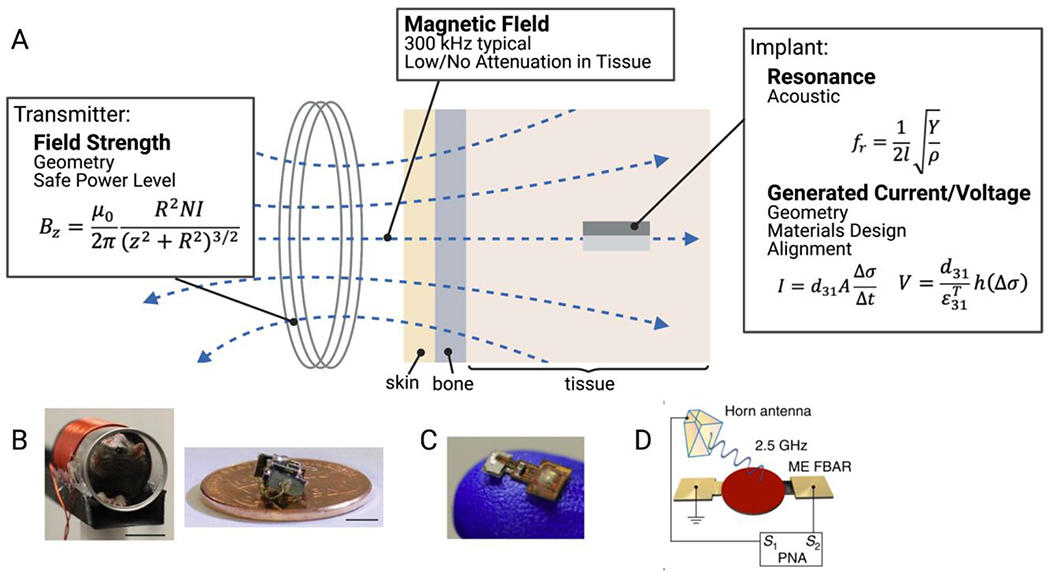 Figure 10.