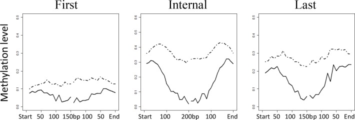 Fig 5