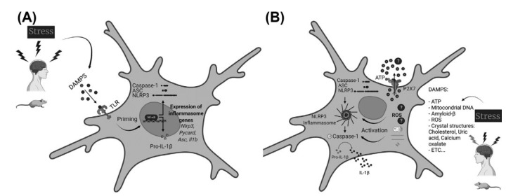 Fig. (1)