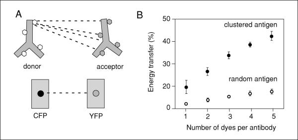 Figure 17.9.1