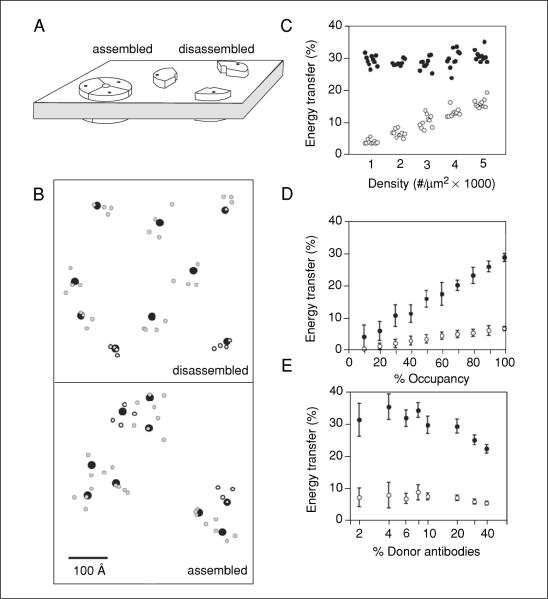 Figure 17.9.5