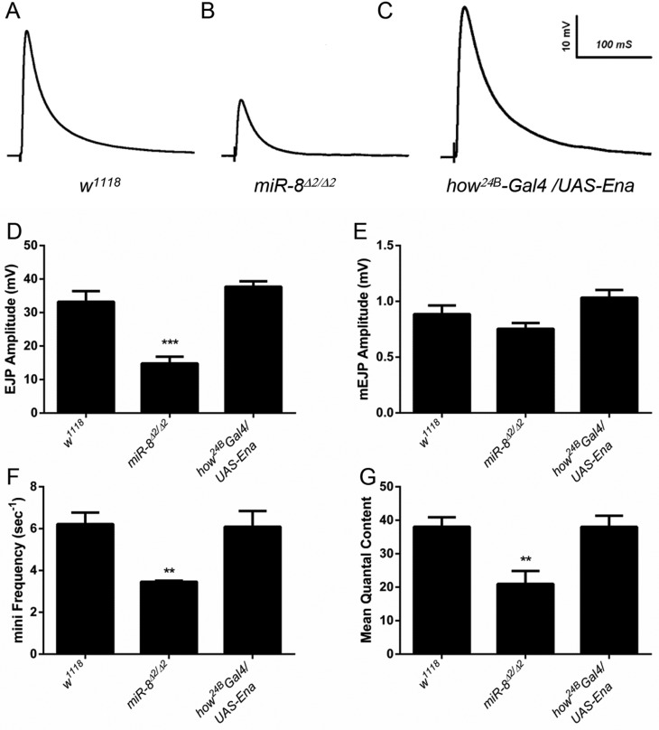 Fig. 8.