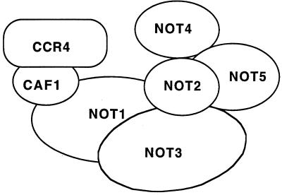 FIG. 7