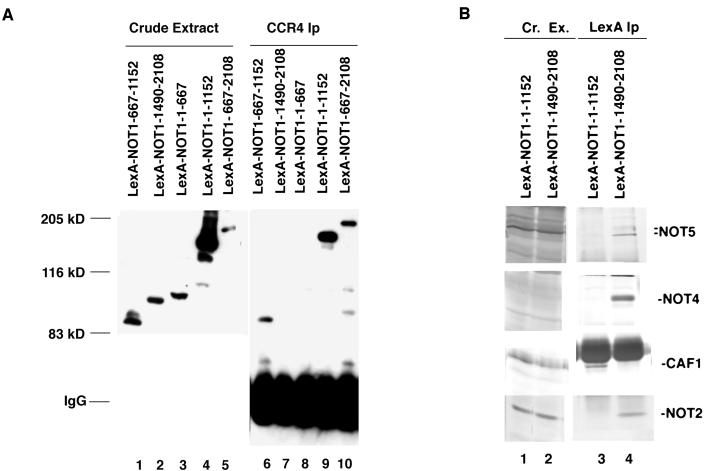 FIG. 3