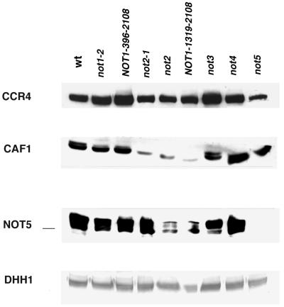 FIG. 5