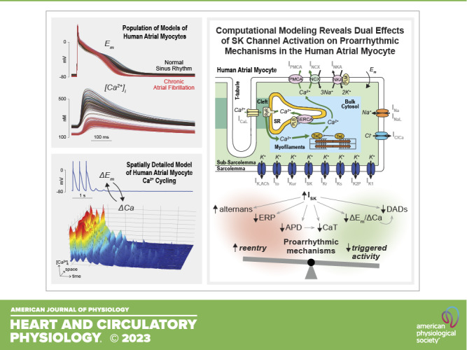 graphic file with name h-00362-2023r01.jpg