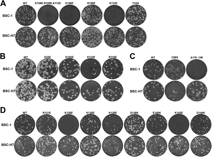 FIG 4